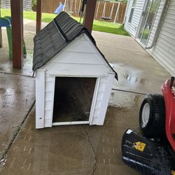 Outdoor Dog House