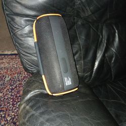Dolphin Dr60 Waterproof Speaker