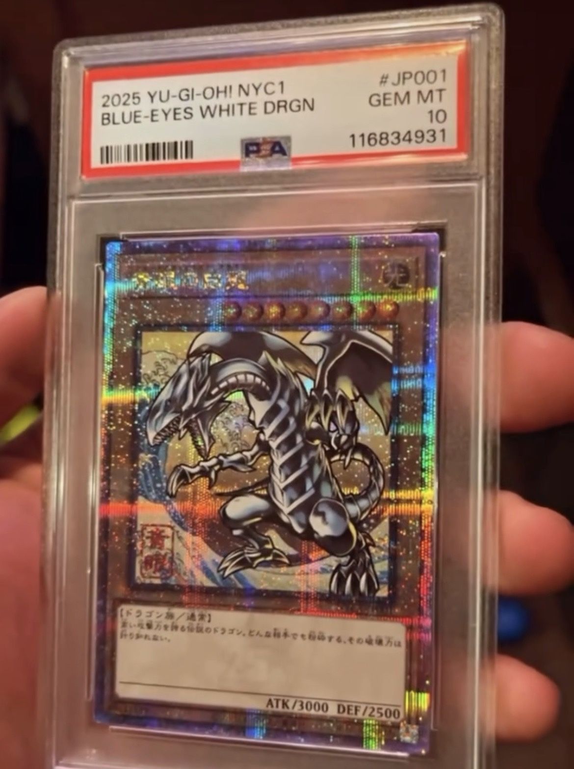 OCG EXCLUSIVE BLUE EYES WHITE DRAGON NYC1