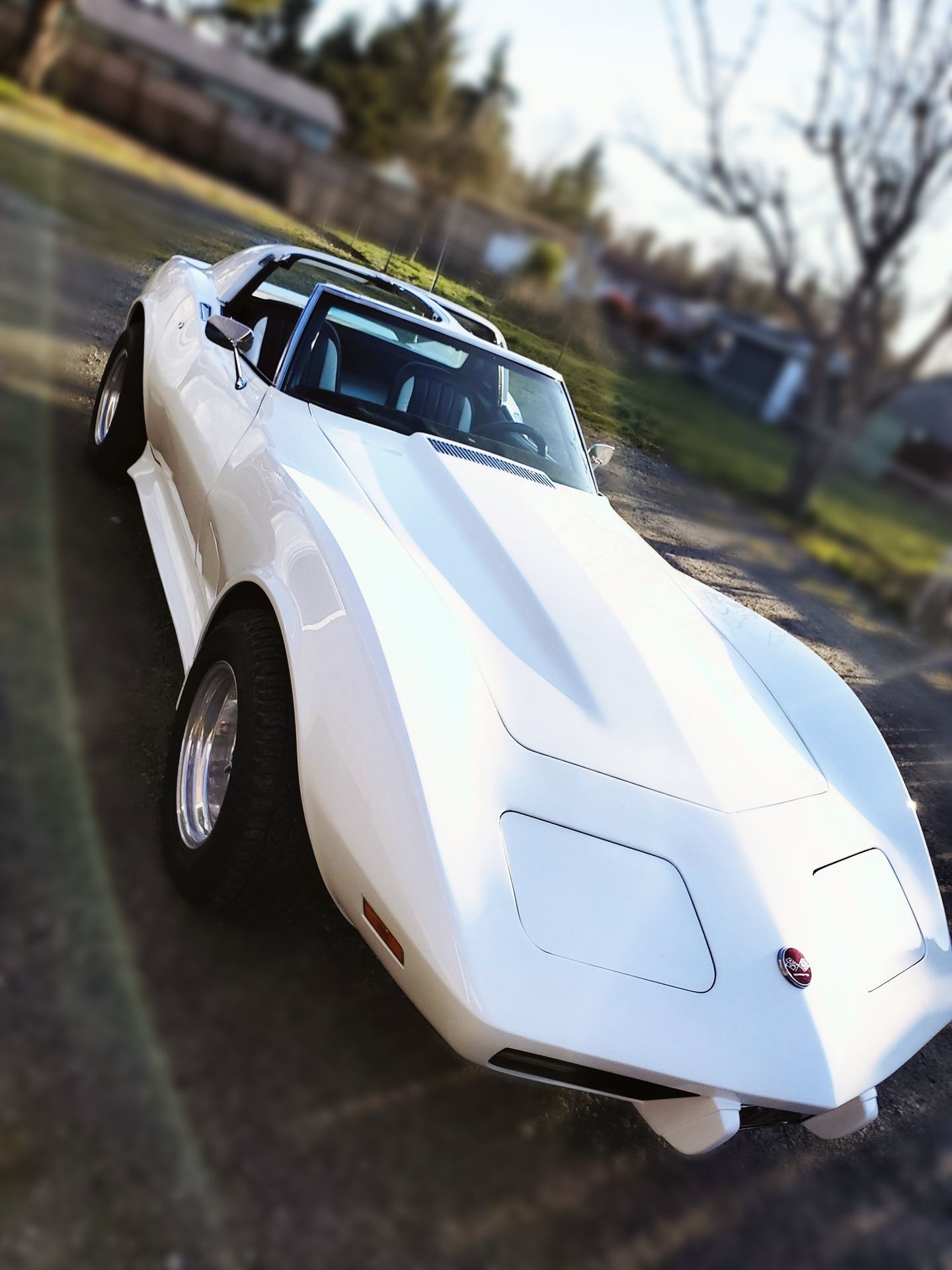 1975 Chevrolet Corvette