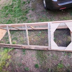 Baby Chick/Chicken Run 