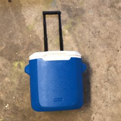 Coleman Cooler