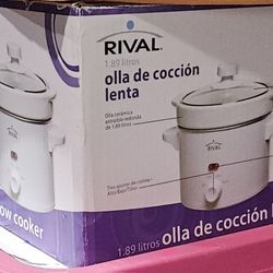 Mini Slow Cooker
