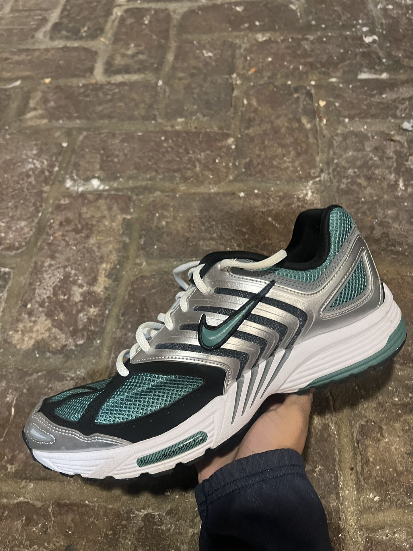 Nike Pegasus Size 11