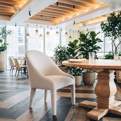 Domo Ivory Dining Chair