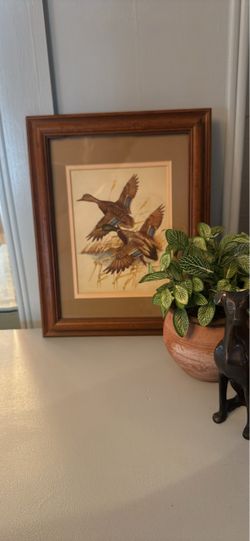 Framed Duck Print Wall Art