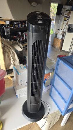 Upright Oscillating Fan