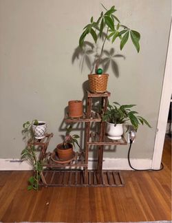 PLANT STAND