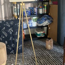 Floor Lamp