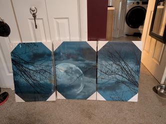 Full Moon Canvas