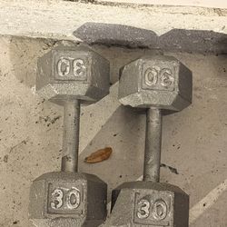 30 Pounds Dumbell Pair