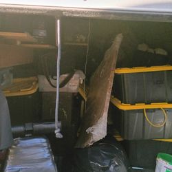 Storage Full Of Bins Need It Empty 