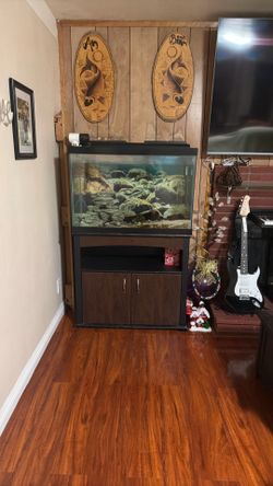 Selling 60 gallon fish tank