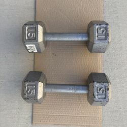 Cast Iron Workout Dumbbells 15lb.