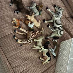 Toy Animals 