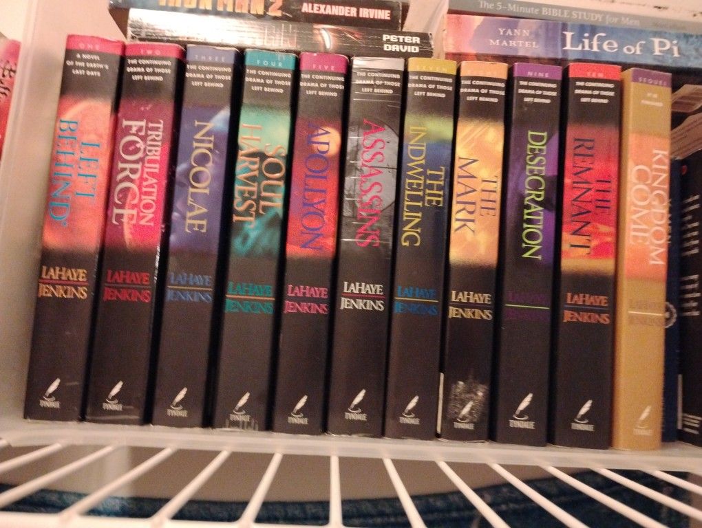11 Book Set - Left Behind Series - Complete