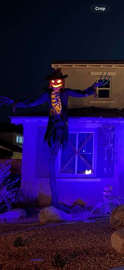 Scare crow