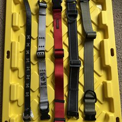 Dog Collars
