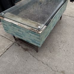 Outdoor Succulent Table