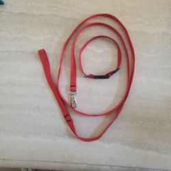 Dog Leach And Collar 