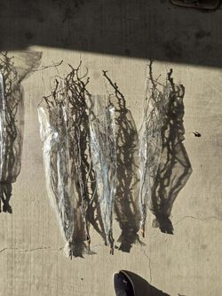Decorative Branches 
