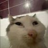 Peter