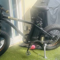 Electric Bike
