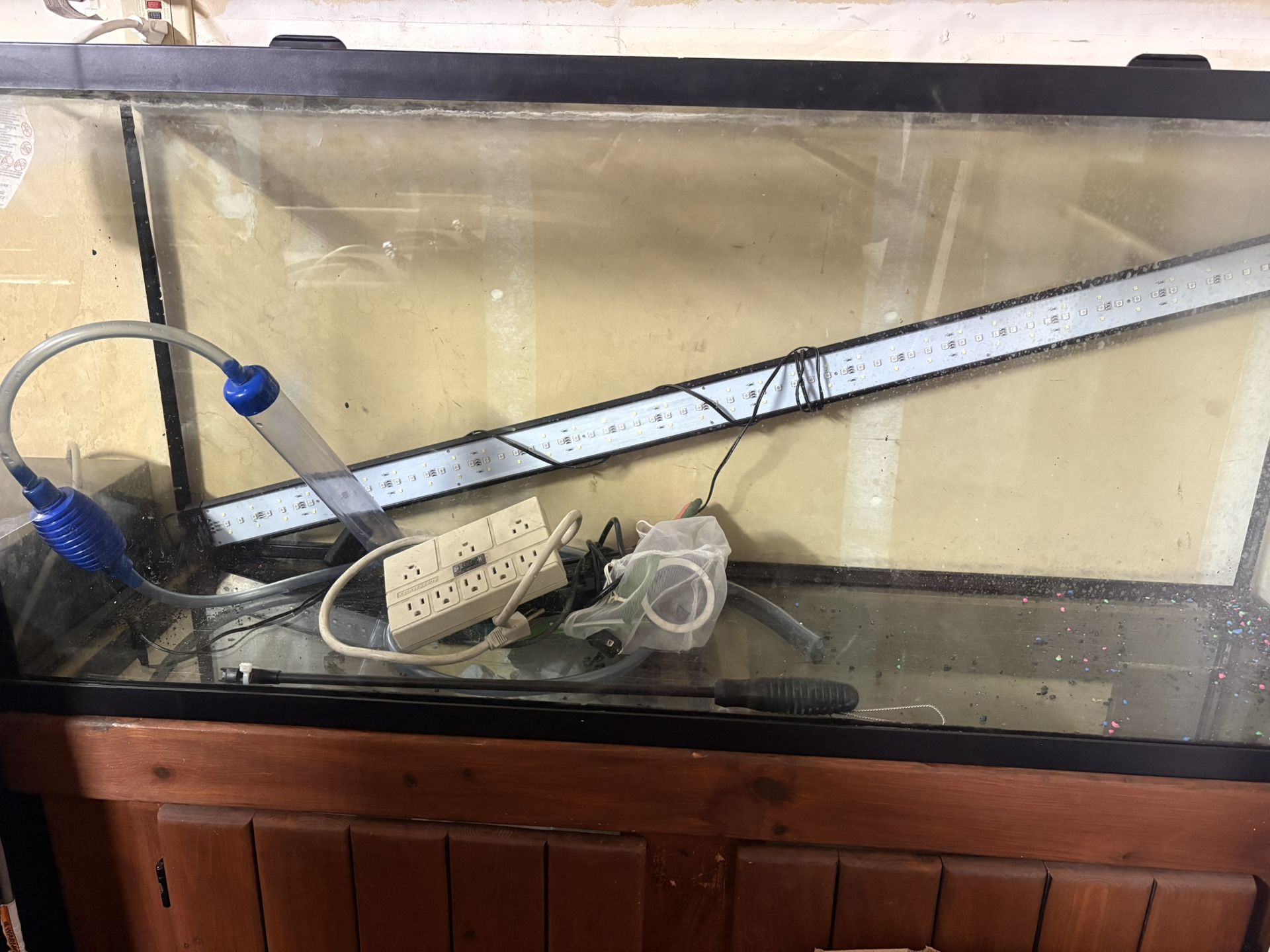 Fish Tank