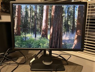 Dell Monitor 24”