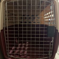 Dog Crates