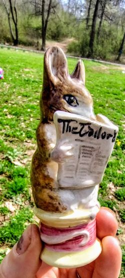 Tailor Of Gloucester 