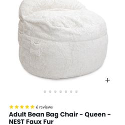 Adult Bean Bag Chair 