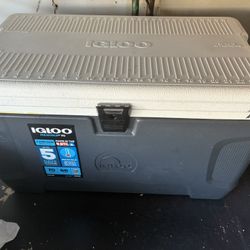 Igloo Cooler 