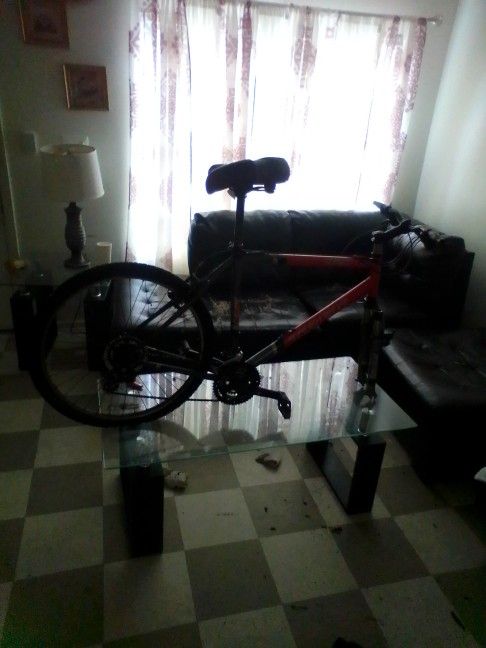 Trek Mountain Bike Frame
