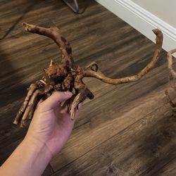 Spiderwood / Driftwood