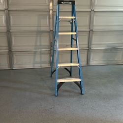 Ladder 6 Foot
