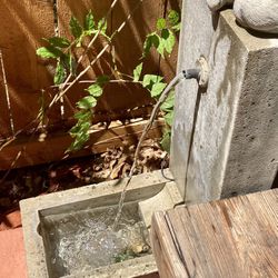 Concrete Bird Fountain With Green Light 