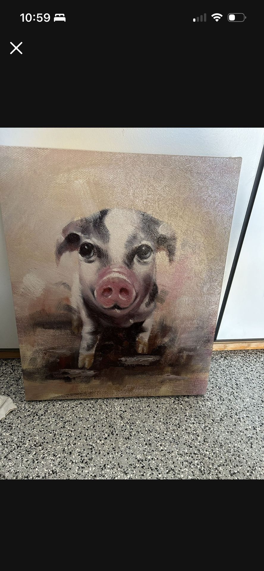 Pig Art
