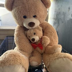 Big & Small Teddy Bear 