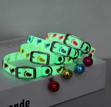 NEW Glow In Dark Pet Collar 