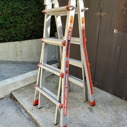 Multi-position ladder