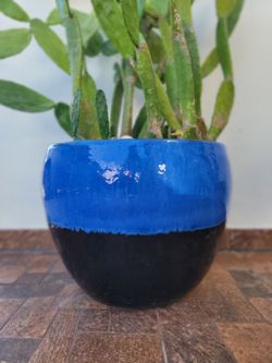 Spherical planter made from premium materials. It features a versatile, standard size 17x 21x 13 and enhances spaces with a vibrant two-tone design of