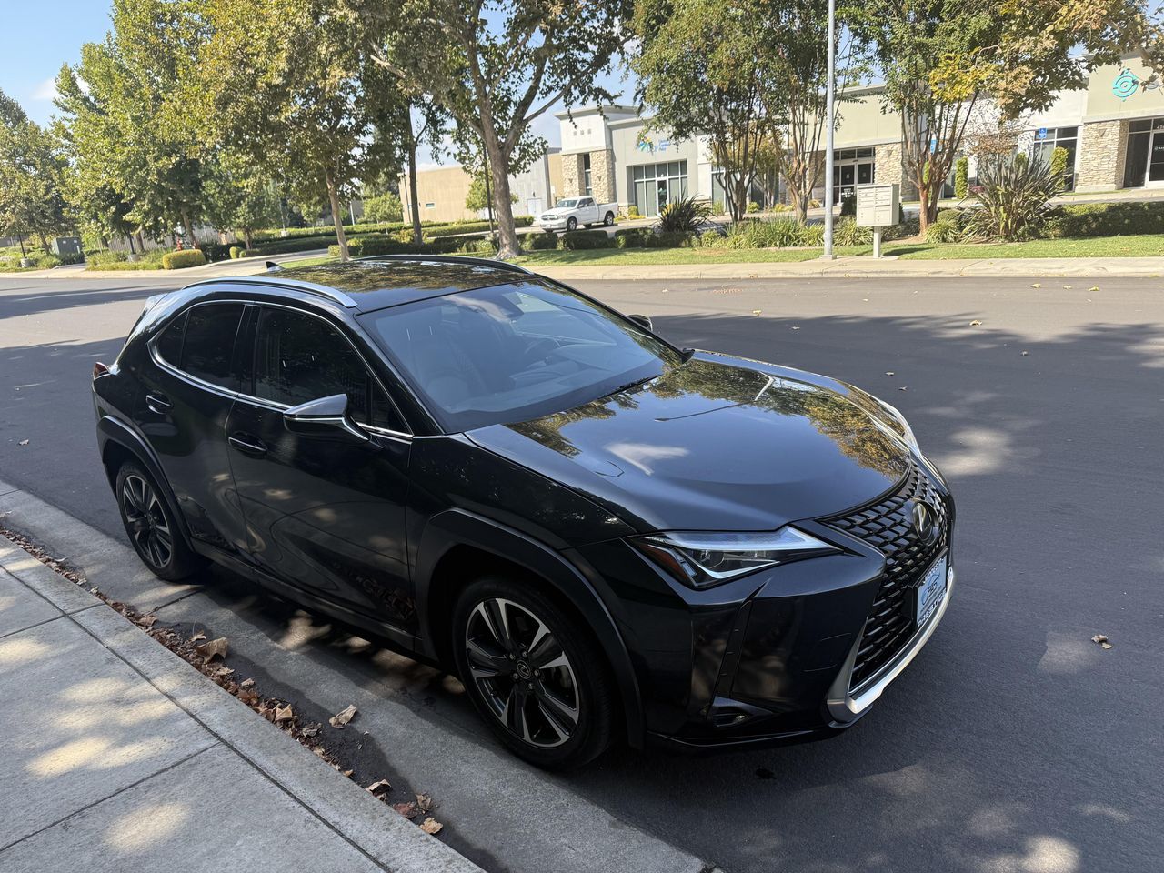 2020 Lexus UX 200