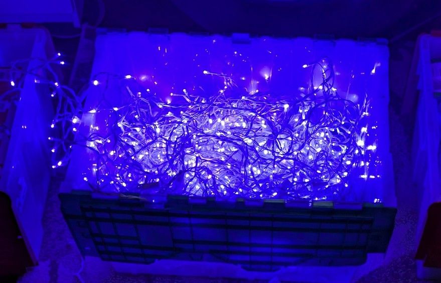 Blue Icicle LED Christmas Lights