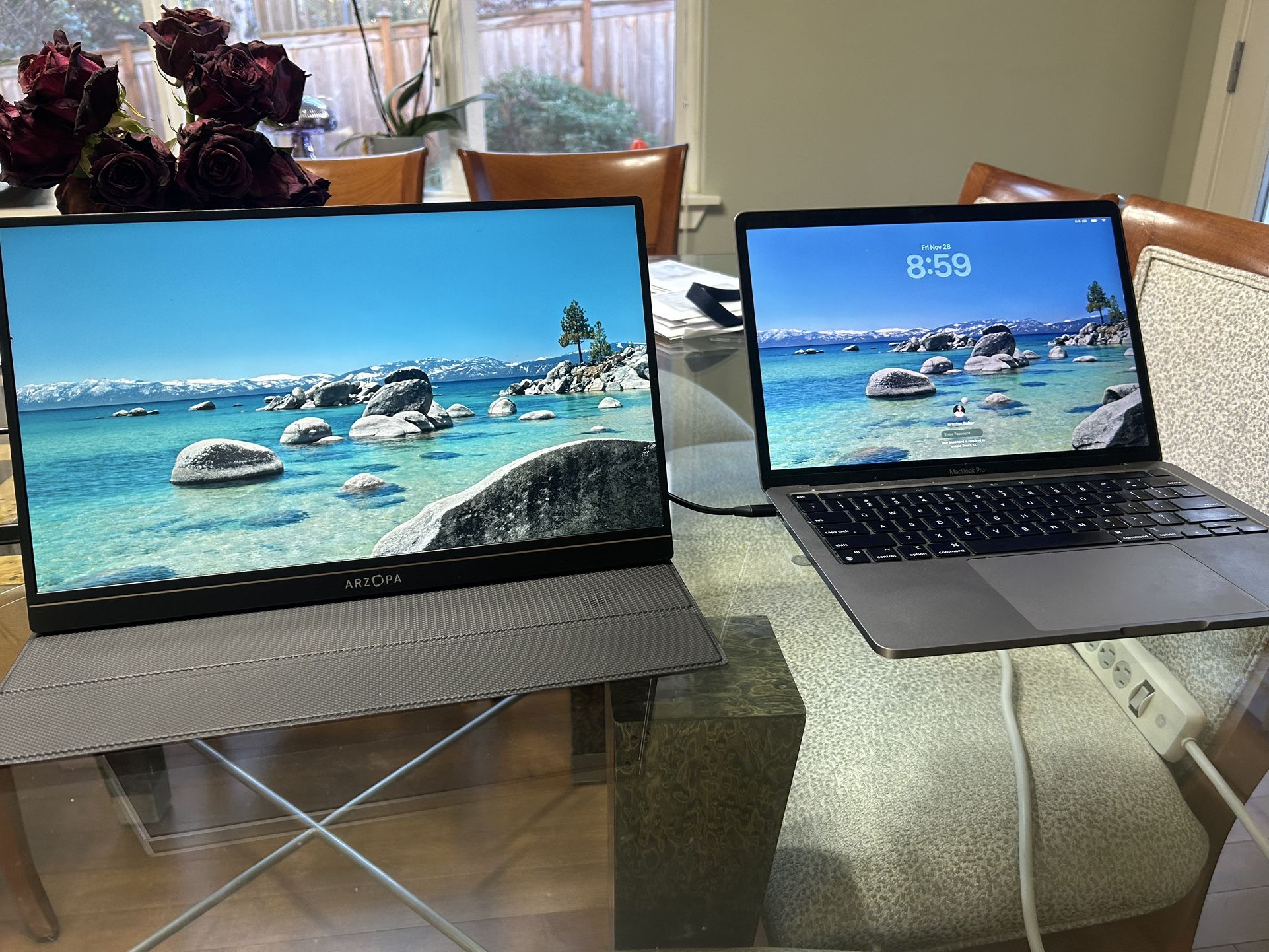 Portable Computer Monitor