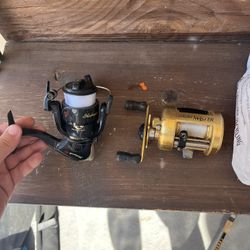 Fishing Reel And Fishing Poles