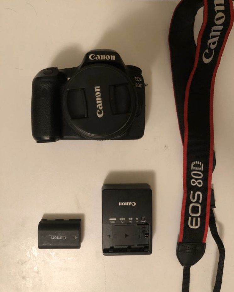 Canon EOS 80D / EFS 18-55mm lens