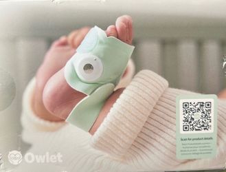 Owlet mint sock