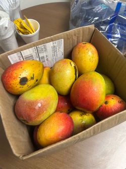 Haden mangos sweet and juicy