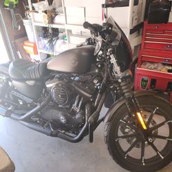 2021 Harley Davidson Iron 883